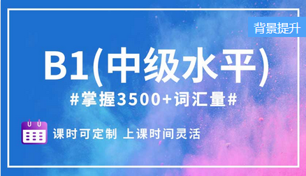 B1（中級水平）精品小班課