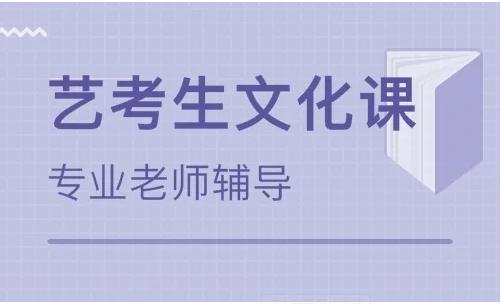 成都藝考文化課沖刺課程輔導(dǎo)機(jī)構(gòu)十大精選排名一覽