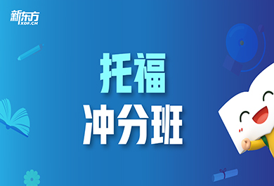 托福VIP一對一輔導(dǎo)培訓(xùn)班內(nèi)容一覽