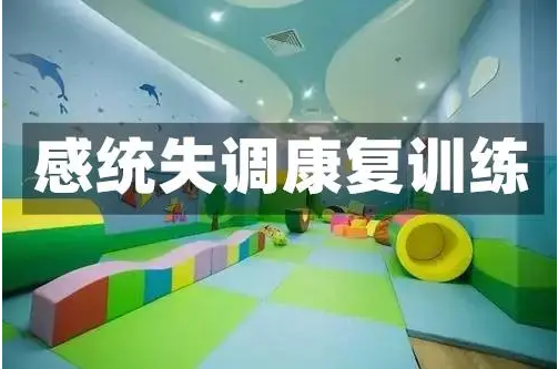 國內(nèi)前10大感統(tǒng)訓(xùn)練提升訓(xùn)練機(jī)構(gòu)排名名單一覽