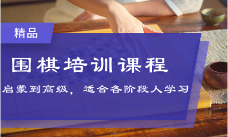 上海專業(yè)的少兒圍棋一對(duì)一線上培訓(xùn)機(jī)構(gòu)五大排行榜一覽
