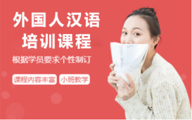 國(guó)內(nèi)對(duì)外漢語(yǔ)1對(duì)1課程十大培訓(xùn)機(jī)構(gòu)排名精選一覽