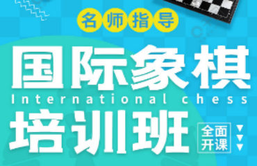 國內(nèi)2025十大國際象棋培訓(xùn)班排名精選一覽