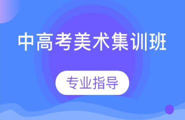 正規(guī)_上海普陀區(qū)十大封閉式高中生美術(shù)藝考培訓(xùn)學(xué)校更新榜介紹