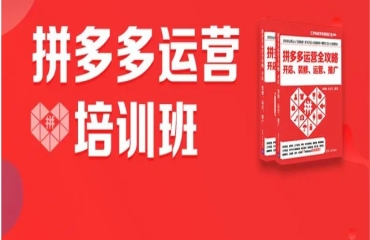 拼多多精品運營班
