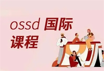 武漢5大OSSD國際課程培訓(xùn)師資強的機構(gòu)排名介紹