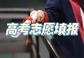高考志愿填報服務(wù)項目