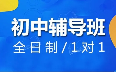 北京海淀區(qū)10大新初二暑假一對一補習輔導機構(gòu)排名榜一覽