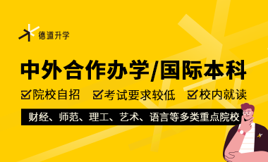 中外合作辦學(xué)/國(guó)際本科