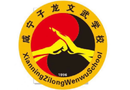 子龍文武叛逆學(xué)校