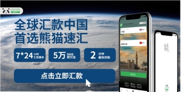 十大國際匯款服務(wù)機(jī)構(gòu)實(shí)力排名