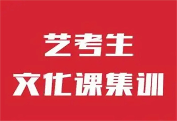 盤點福州臺江區(qū)十大藝考生文化課沖刺一對一輔導班推薦榜一覽