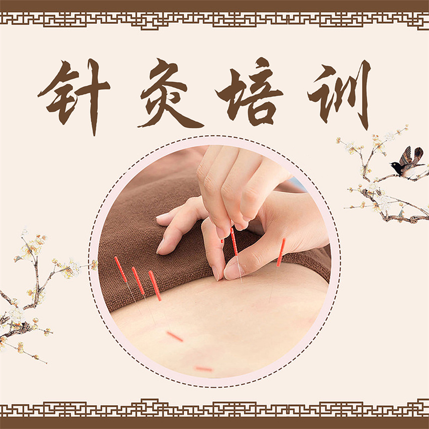 針灸培訓(xùn).jpg