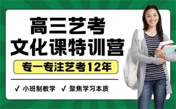 高三藝考文化課特訓(xùn)營