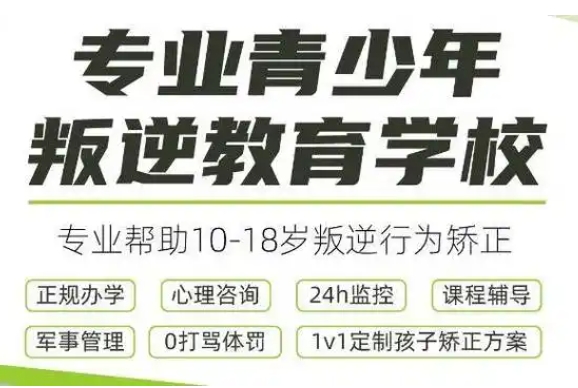 重慶南川區(qū)TOP10專注青少年叛逆心理矯正學(xué)校排名榜一覽