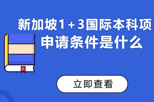 2025國內(nèi)1+3新加坡國際本科招生簡章10大排名一覽